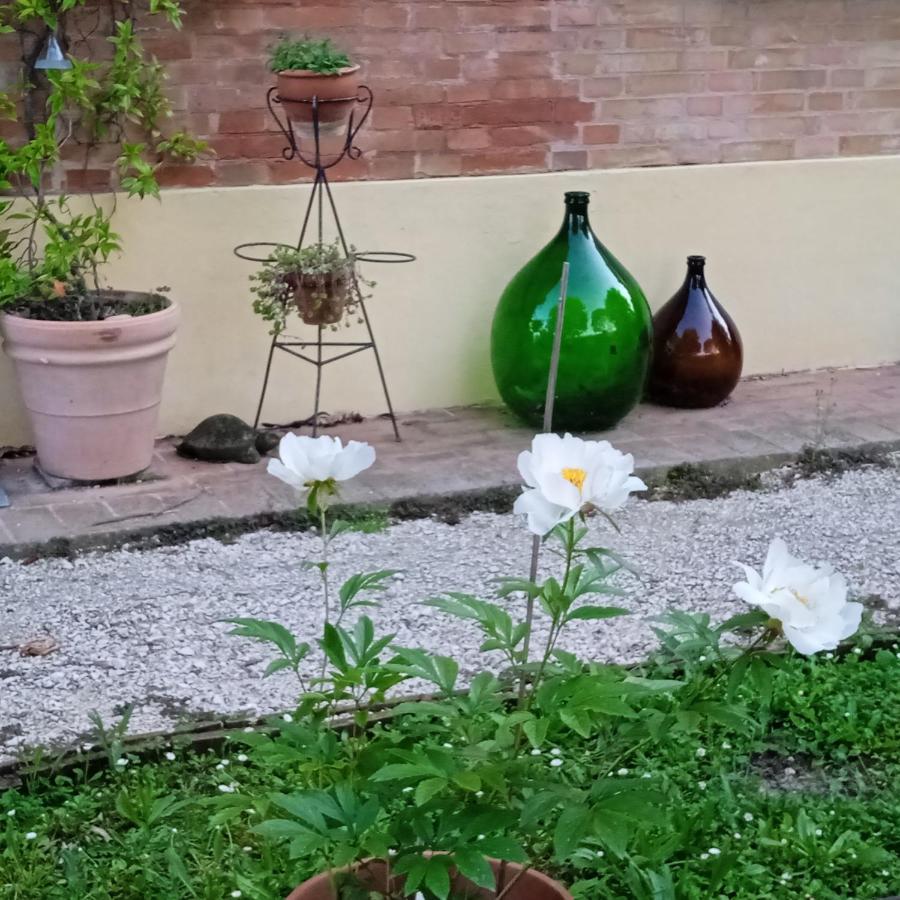 B&B Marana 14 Casa Di Campagna Bologna Ngoại thất bức ảnh