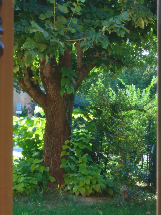 B&B Marana 14 Casa Di Campagna Bologna Ngoại thất bức ảnh